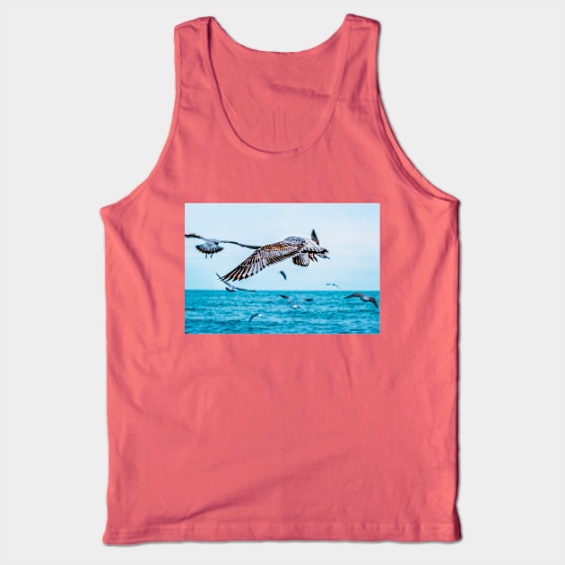 Flight of the Seagull Photograph Tank Top by love-fi